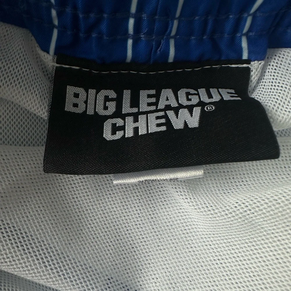 Big League Chew Striped Men's Swim Shorts- Large